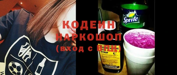 молекула духа Протвино